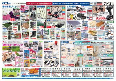 コメリパワー 3/7号 決算市 ウラ