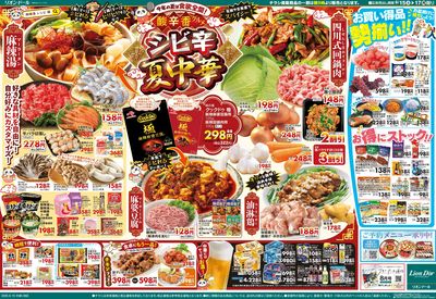 8/15号夏中華