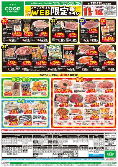 3/20号 WEB限定チラシ