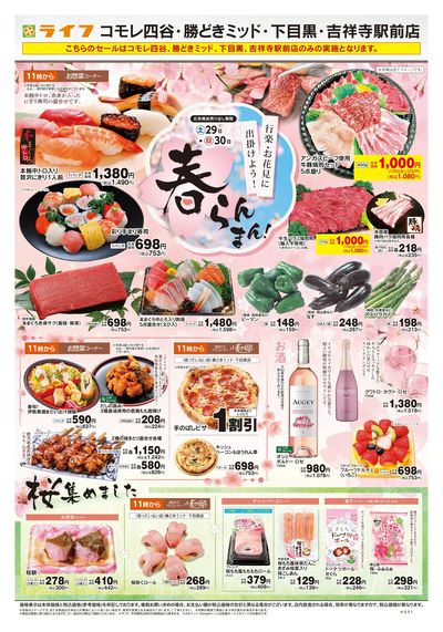 3/29号 春らんまん