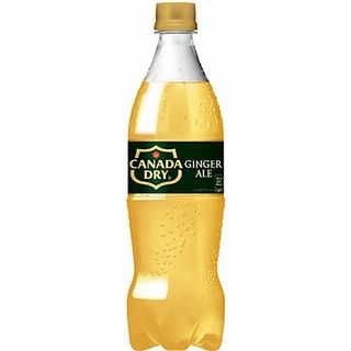 コカ・コーラ カナダドライ ジンジャーエール 700ml