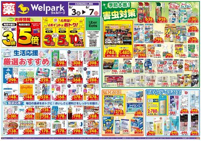 6月3日号:オモテ