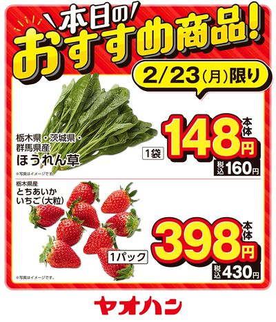 本日のおすすめ商品!