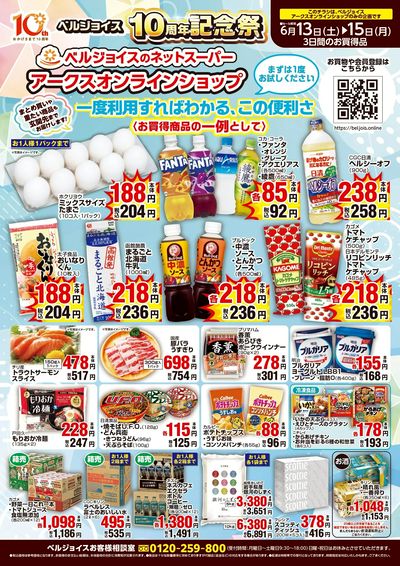 ネットスーパー限定チラシ