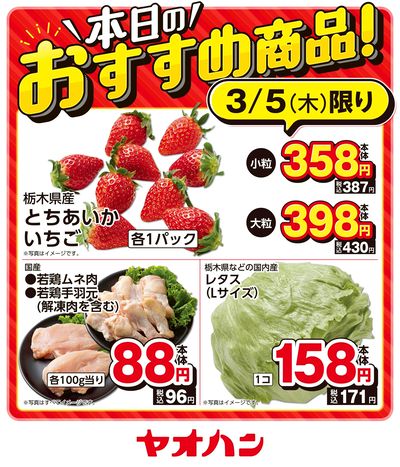 本日のおすすめ商品!