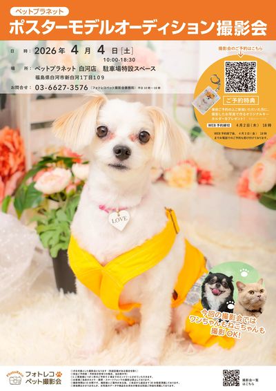 ポスターモデルオーディション撮影会開催!