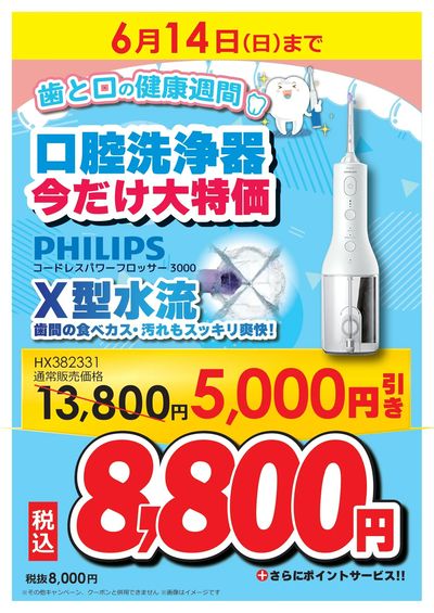 今だけ大特価!