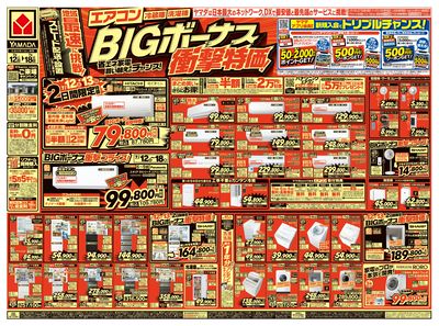 BIGボーナス衝撃特価!(おもて)