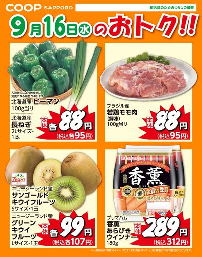9月16日お買得品