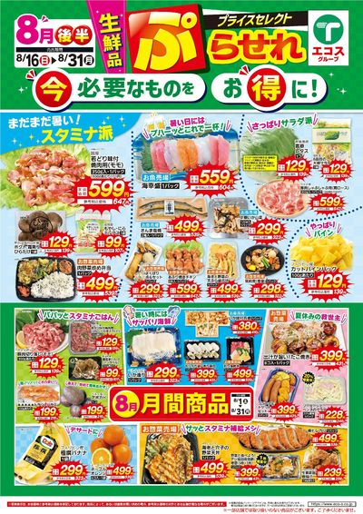 8月後半ぷらせれ