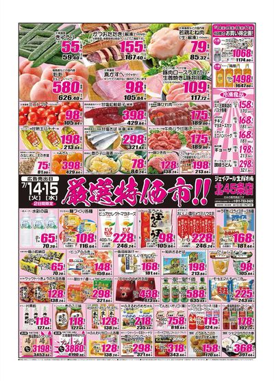260714_15_45条チラシ
