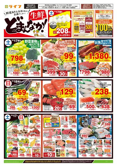 10/17号 生鮮どまんなか!