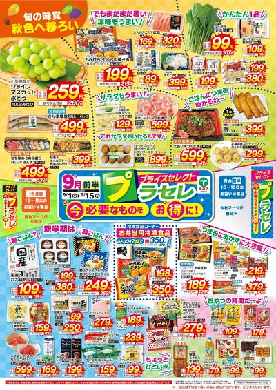 9月前半 プラセレ