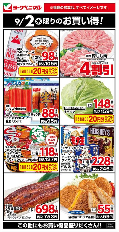 9/2限りのお買い得!