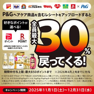 P&Gのヘアケア商品ご購入でお好きなポイントが選べる!最大30%戻ってくる!