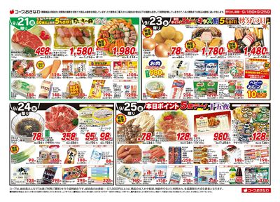 チラシ「秋の行楽」セール