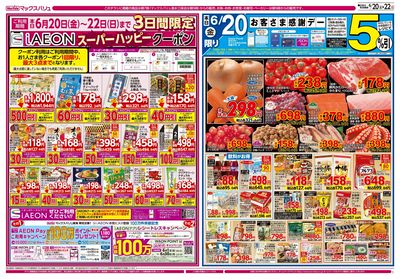 6/20号 韓国フェア/お客さま感謝デー:オモテ
