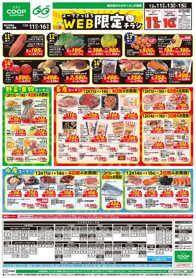12/11号 WEB限定チラシ
