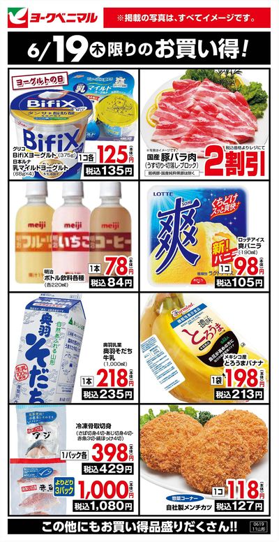 6/19限りのお買い得!