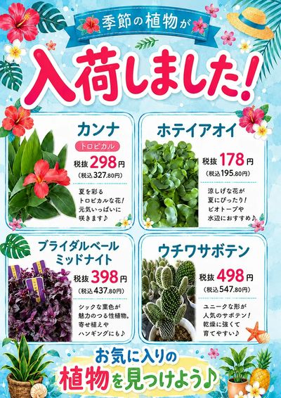 ムサシ須坂店おススメ情報!