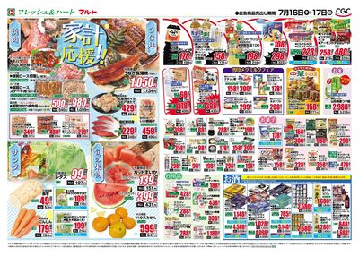 0716号-茨城裏