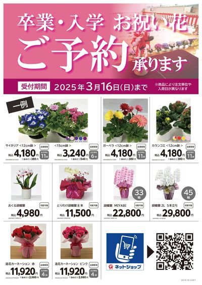 卒業・入学 お祝い花 ご予約承ります