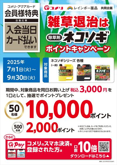 雑草退治は除草剤ネコソギ ポイントキャンペーン
