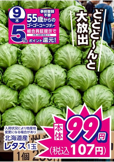 7/9限りのお買得品 この企画見逃さないで!!