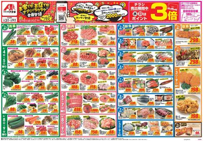 6月3日開始チラシ:表