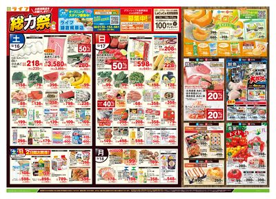 5/16号 総力祭/メロン集めました
