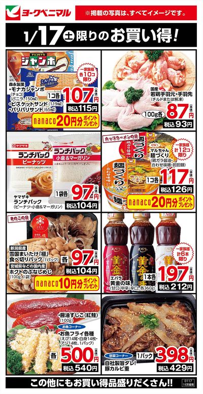 1/17限りのお買い得!