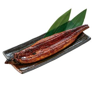 鹿児島県産 霧島湧水うなぎ蒲焼真空 1尾入