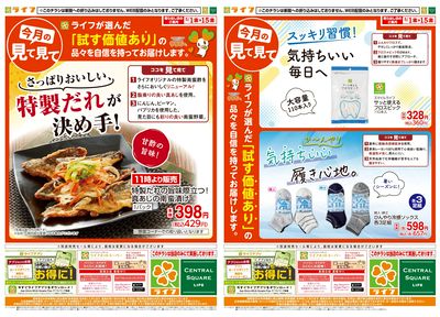 今月の見て見て