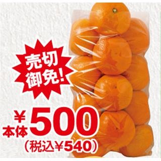 夢未来みかん 詰め放題