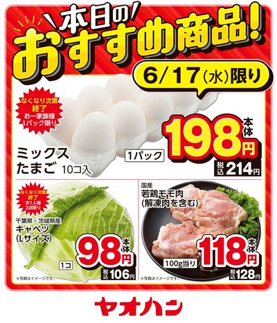 本日のおすすめ商品!
