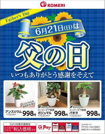 〈6月21日(日)〉 父の日