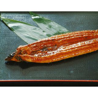 うなぎ蒲焼(中国産) 1尾