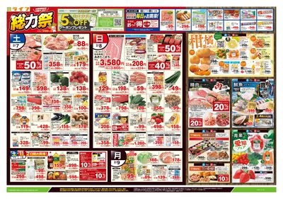 2/7号 総力祭/柑橘集めました