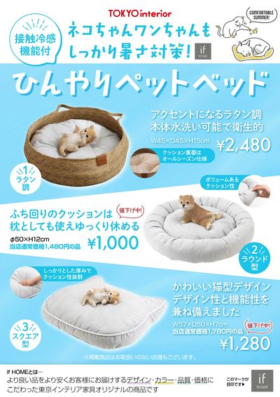 ネコちゃんワンちゃんもしっかり暑さ対策!
