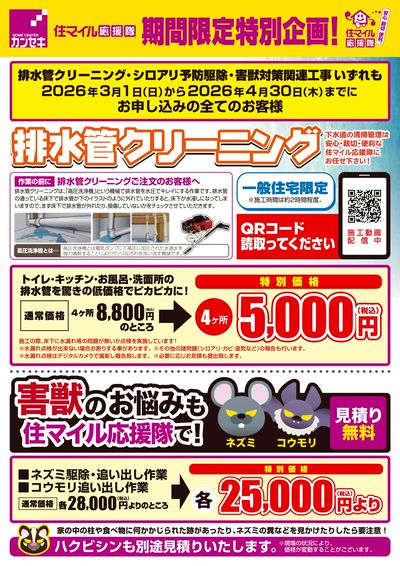 排水管クリーニングキャンペーン実施!害獣のお悩みも住マイル応援隊で!