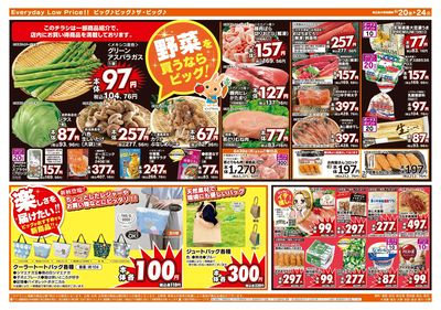 6月20日号週末チラシ(うら)
