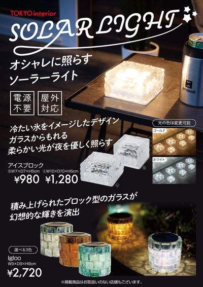 夏の夜をオシャレに照らそう!
