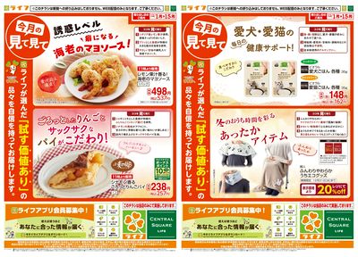 今月の見て見て