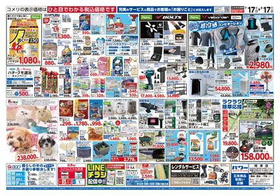 コメリパワー 7/17号 夏本番を楽しもう! ウラ
