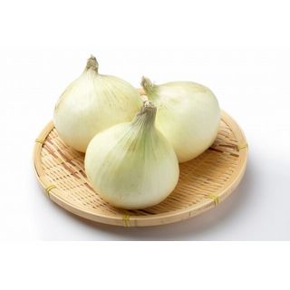 新玉ねぎ