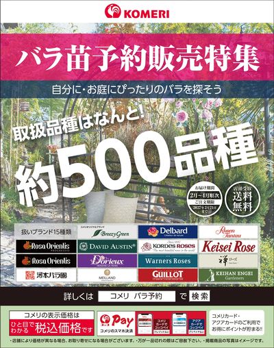 バラ苗予約販売特集