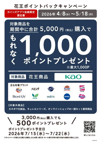 花王ポイントバックキャンペーン