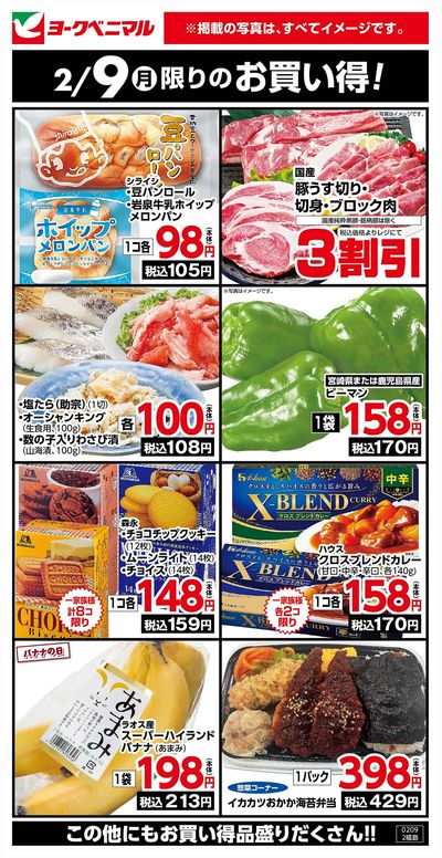 2/9限りのお買い得!