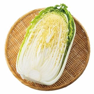 お1人様2点限り 白菜