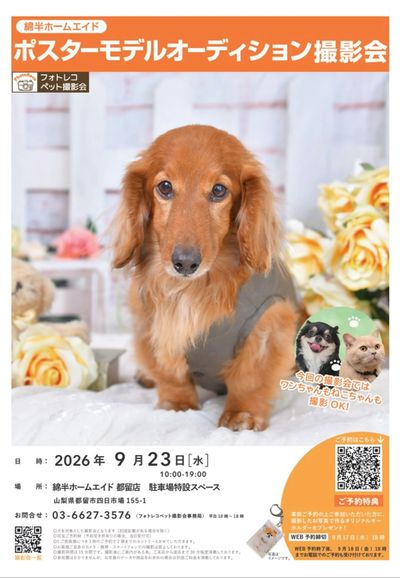 可愛いワンちゃん・ネコちゃんをプロの腕で撮ってもらいませんか?参加費無料のペット撮影会!